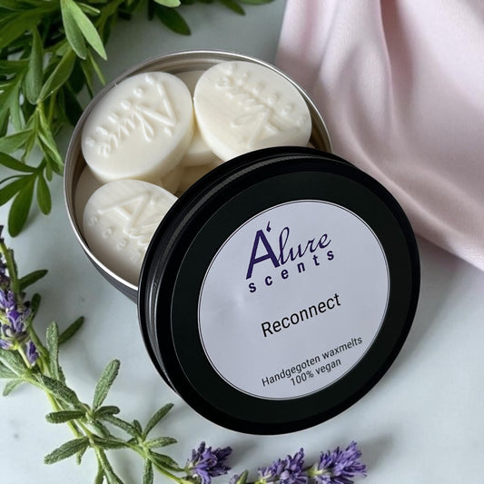 Waxmelts Reconnect